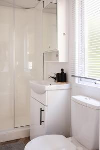 Modern chalet in bosrijke omgeving