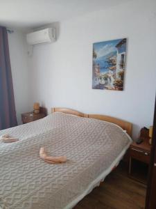 Apartman Igalo