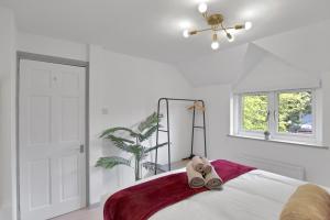 Spacious 3 Bed Countryside Home Sleeps 7 Parking