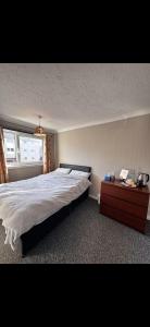 Cozy Room in Polloksheilds