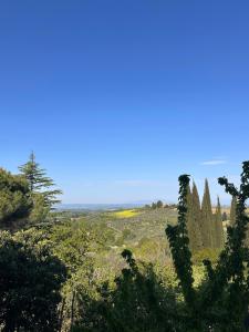 Vivi la Toscana