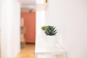 Stylish apartment, 2 bedrooms, Elevator