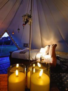 Edwards Farm Glamping Shaftesbury