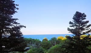 Exclusive Sea View Apartment Free WiFi & Pool