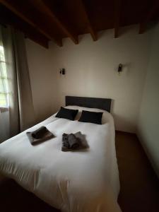 Le petit châtaignier , T2 cosy proche lac et océan