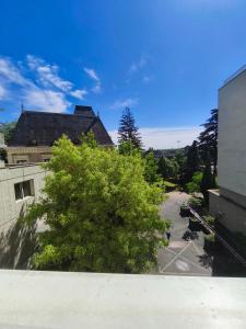 Studio WiFi Cité Internationale Lyon