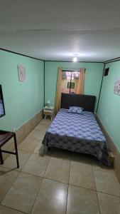 Hummingbird Morfus Lodge