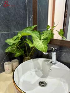 New Sitơ Hotel