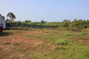 Homestay Lot 90