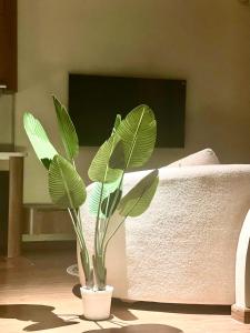 Quiet, Comfort 2bedroom Apt In City Centre, Quick To Airport With Gym, Pools and Beautiful Private Walking Lake
