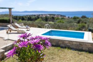Megi Sea & Country House