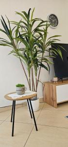 Bright Central Apartment