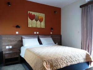 Single Room room in Hotel Afroditi