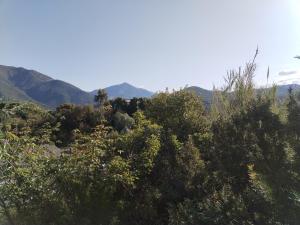 maison de rêve dans un écrin de verdure au calme