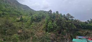 Rajkamal Guest House