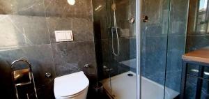 Beautiful renovated stone villa