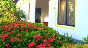 Aquarius Resort