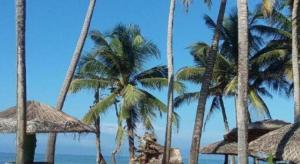 Aquarius Resort
