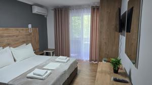 AA Tirana Center View