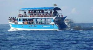 Coralworld Hotel