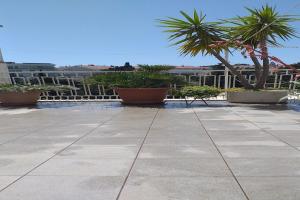 Plavi Zal Apartment - One Bedroom Apartment with Two Terraces