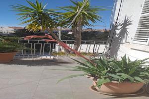 Plavi Zal Apartment - One Bedroom Apartment with Two Terraces