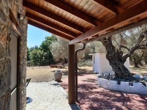 Stone house among trees