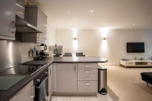 Modern 2 Bed 2 Bath Apartment in Great Dover Street Central London