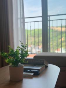 HT Homestay Dragon Castle Hạ Long