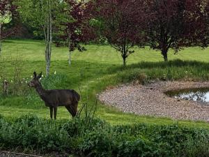 Geltsdale Garden Apartment ground floor home in Wetheral close to Carlisle & Ullswater