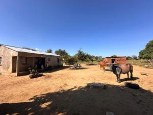Moms Farm Stay Authentic Zambian Village Experience