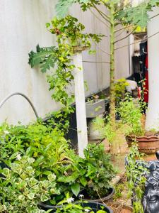 Chami Leisure Home