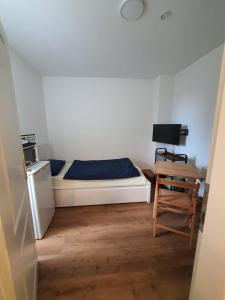Goldfisch-1-Person