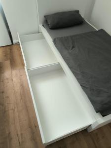 Goldfisch-1-Person