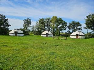 Luxury Cornish Yurts