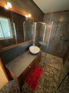 appartement Chalet 15 puy du rocher