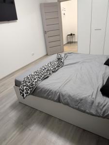 Apartmán v blízkosti Staromêstského námêstí a Karlova mostu