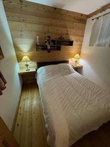 appartement Chalet 15 puy du rocher