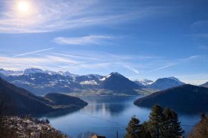 A&Y Panorama Poolhouse - Hot Tub Lake Lucerne