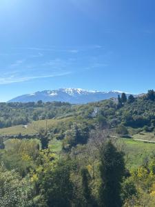 Vacation apartment for five in the hills of Abruzzo img3
