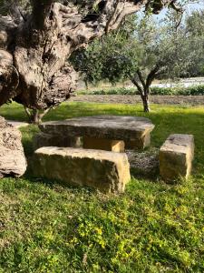 Lemalu con giardino