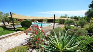 Beautiful Villa Omo with pool in Pula