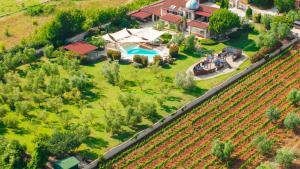 Beautiful Villa Omo with pool in Pula