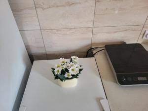 Apartman MAJA
