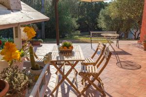 Domos Pintadas -Happy Rentals