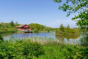 1 Bed in Llanerchymedd oc-wai212