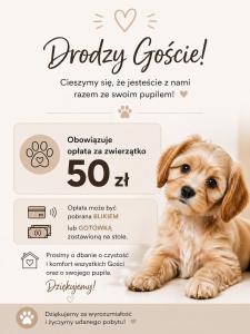 Apartamenty Łuczkowskiego z widokiem na Studnię 2