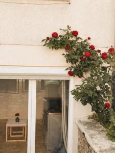 Cozy 1 bedroom apartment with garden - breakfast included