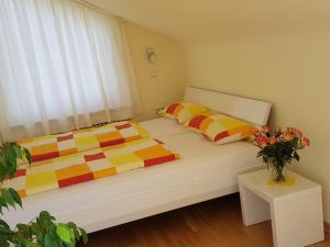 ARISTA Ferienwohnung direkt am See ruhige zentrumsnahe Lage - Seeblick