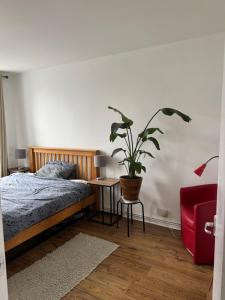 Lovely one bedroom apartment